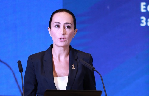 Irina Ghaplanyan-Vice Minister, Ministry of Environment of the Republic of Armenia