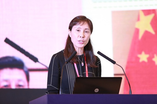 Feng Chunling-Director, Department of Climate Change, Ministry of Ecology and Environment of China